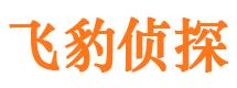 渝中侦探公司